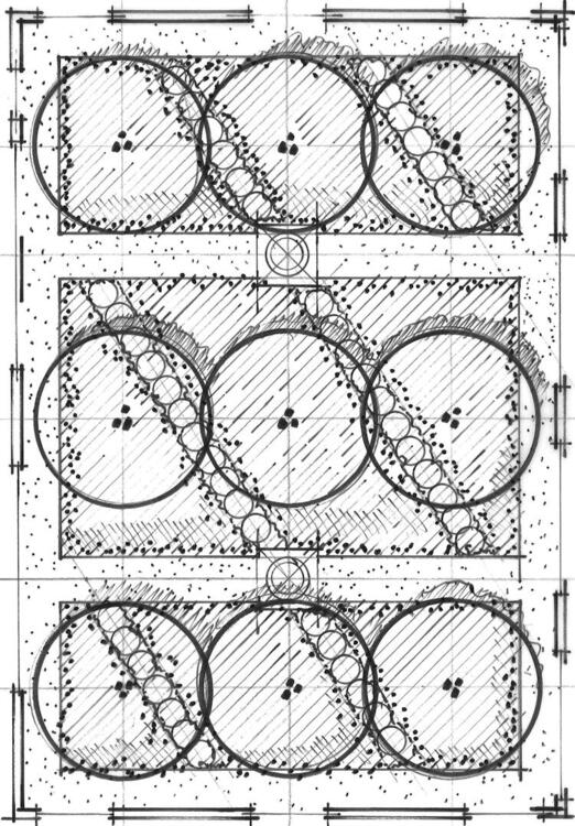 sketch of rooftop garden for boulder community health